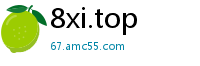 8xi.top